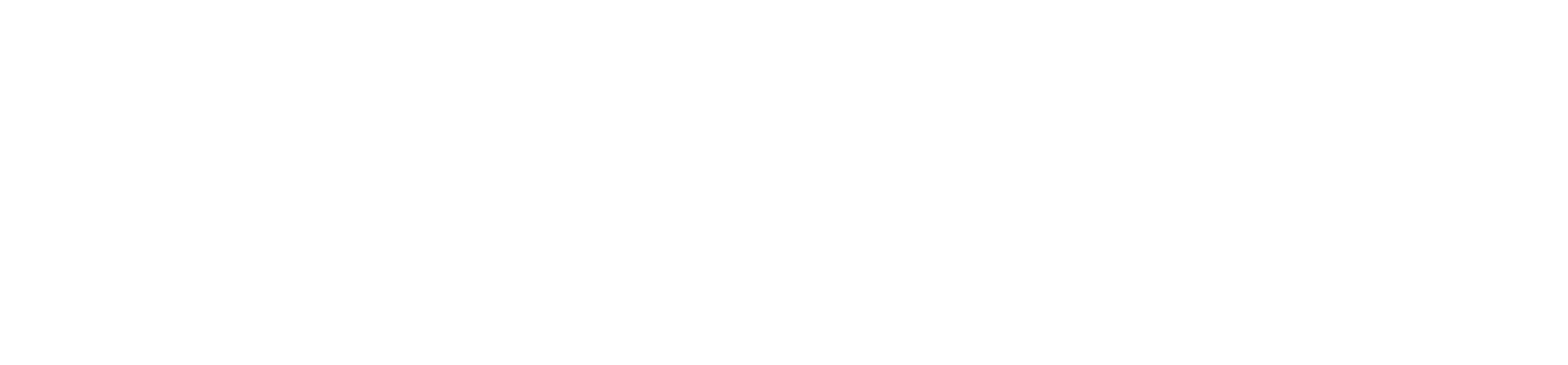 2GEONET